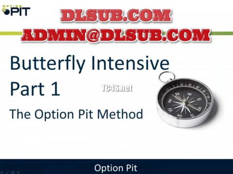 Digital marketing product photo of Option Pit - Butterfly Intensive training program